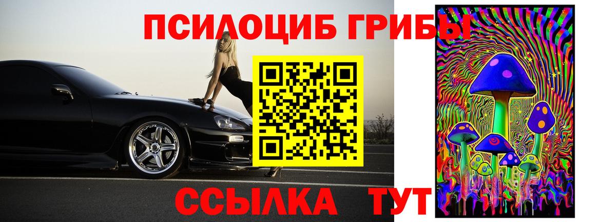 Галлюциногенные грибы Psilocybine cubensis Муравленко