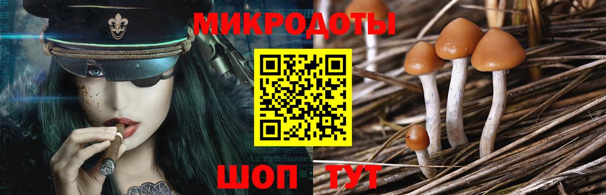 Галлюциногенные грибы ЛСД  Вход с VPN  где найти наркотики  Муравленко 